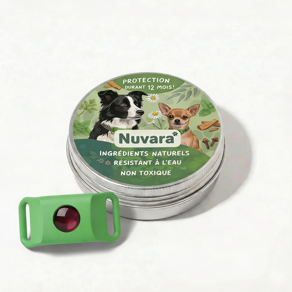 Pendentif Nuvara™ — Protège votre chien 12 mois, 100% naturel
