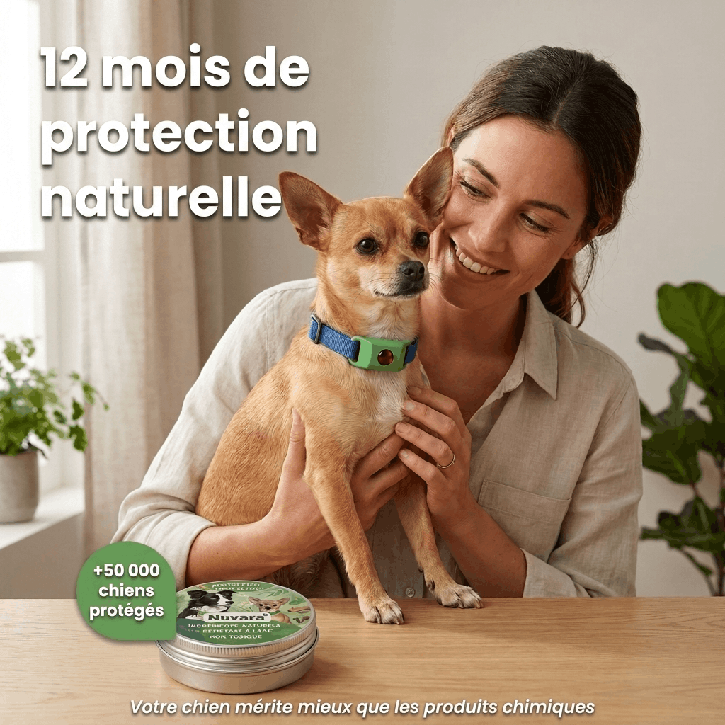 Pendentif Nuvara™ — Protège votre chien 12 mois, 100% naturel