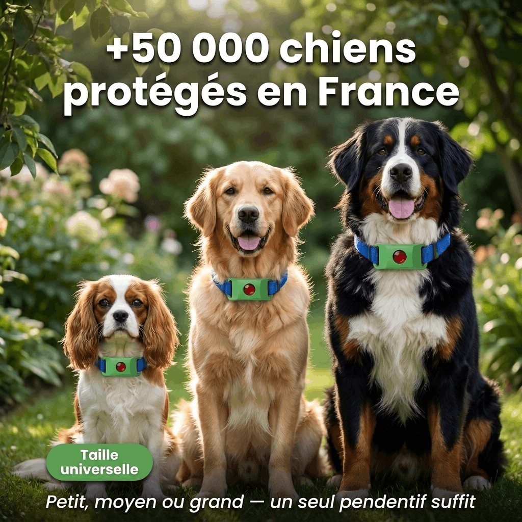 Pendentif Nuvara™ — Protège votre chien 12 mois, 100% naturel